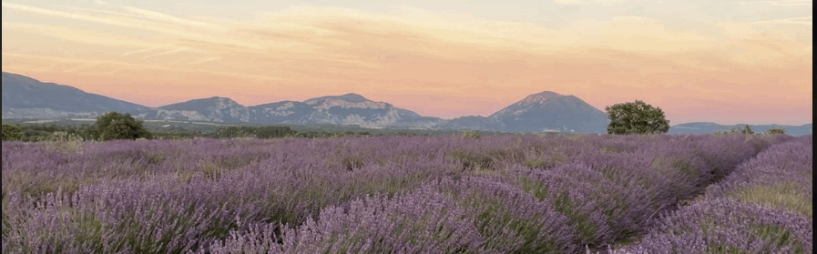 Une maison en Provence – by Blandine